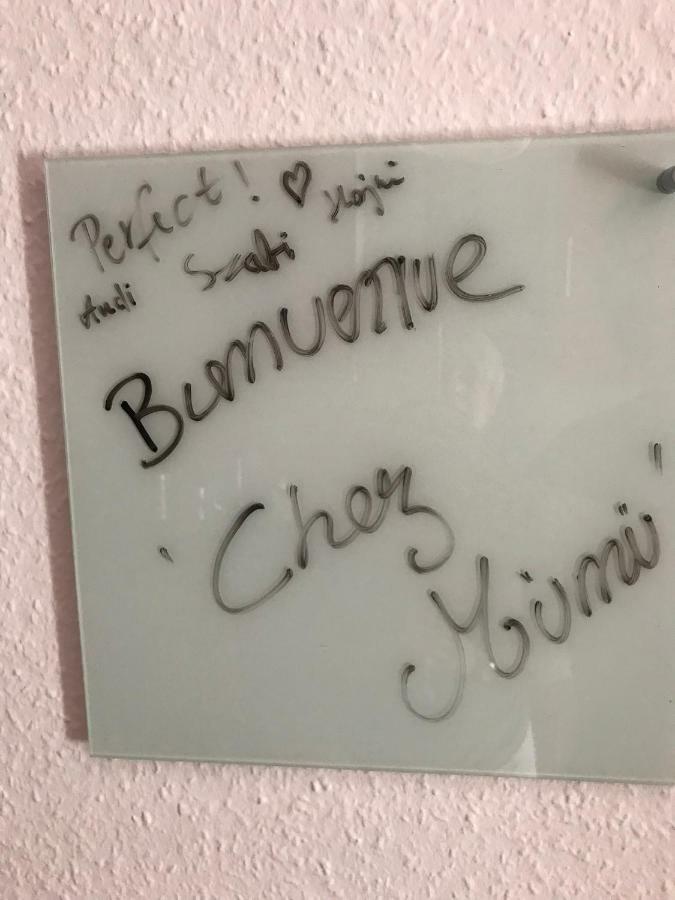 Chez Mumu Appartement Colmar Buitenkant foto